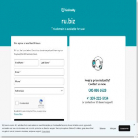 Скриншот главной страницы сайта ru.biz