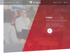 Скриншот главной страницы сайта rub-in.com