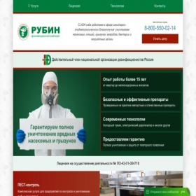 Скриншот главной страницы сайта rubin-dez.ru