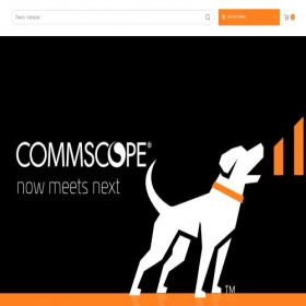 Скриншот главной страницы сайта ruckus-market.ru