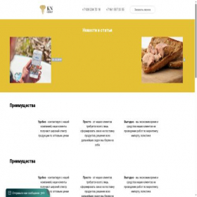 Скриншот главной страницы сайта rulet.raisen.ru