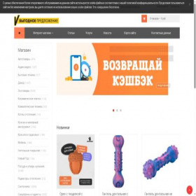 Скриншот главной страницы сайта rumodarussia.ru
