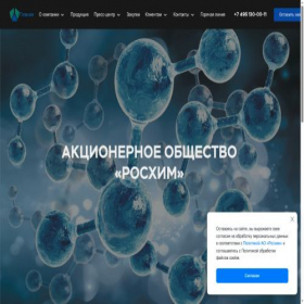 Скриншот главной страницы сайта ruschem.ru