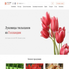 Скриншот главной страницы сайта ruscvet.ru