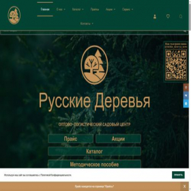 Скриншот главной страницы сайта russkie-derevya.ru
