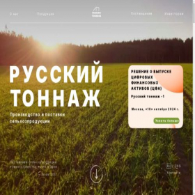Скриншот главной страницы сайта rustonn.ru