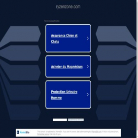 Скриншот главной страницы сайта ryzenzone.com