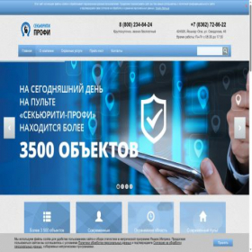 Скриншот главной страницы сайта s-profy.ru