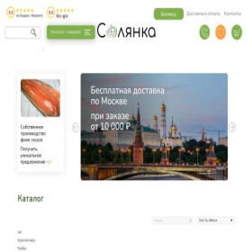Скриншот главной страницы сайта s0lyanka.ru
