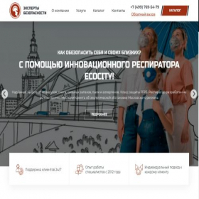 Скриншот главной страницы сайта safetyexperts.ru