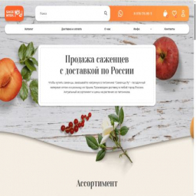 Скриншот главной страницы сайта sagentsy.ru