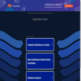 Скриншот главной страницы сайта saleradar.online