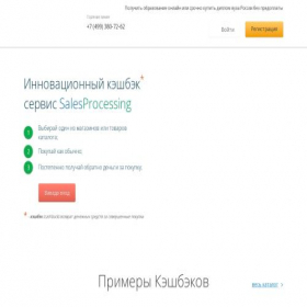Скриншот главной страницы сайта salesprocessing.ru