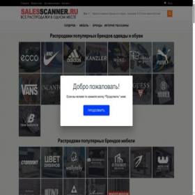 Скриншот главной страницы сайта salesscanner.ru