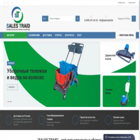 Скриншот главной страницы сайта salestraid.ltd
