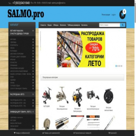 Скриншот главной страницы сайта salmo.pro