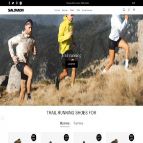 Скриншот главной страницы сайта salomongift.com