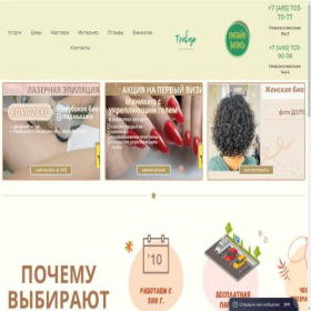 Скриншот главной страницы сайта salontreviso.ru