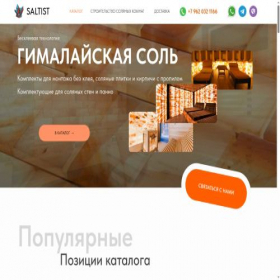 Скриншот главной страницы сайта saltist.ru