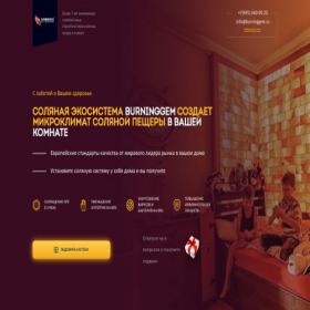 Скриншот главной страницы сайта saltsystem.ru