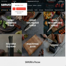 Скриншот главной страницы сайта samura-rossia.ru