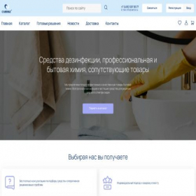 Скриншот главной страницы сайта saniks.ru