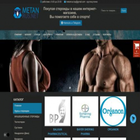 Скриншот главной страницы сайта sankt-peterburg.metanrus.net