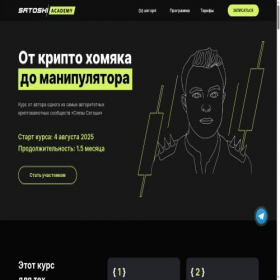 Скриншот главной страницы сайта satoshi.academy