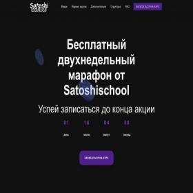 Скриншот главной страницы сайта satoshischool.site