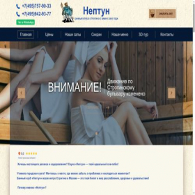 Скриншот главной страницы сайта saunasuper.ru