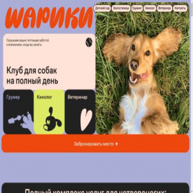Скриншот главной страницы сайта saveanimals41.ru