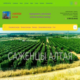 Скриншот главной страницы сайта sazensyaltaia.ru