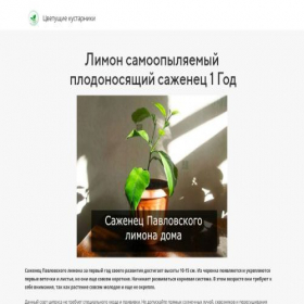 Скриншот главной страницы сайта sazhentsy-limona.creatium.site