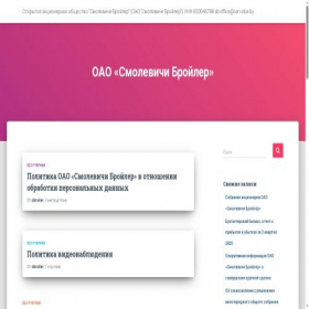 Скриншот главной страницы сайта sbroiler.by