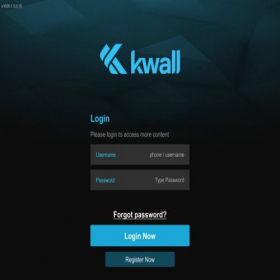 Скриншот главной страницы сайта scale-kwallplatform.com