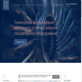 Скриншот главной страницы сайта scalianz.ru
