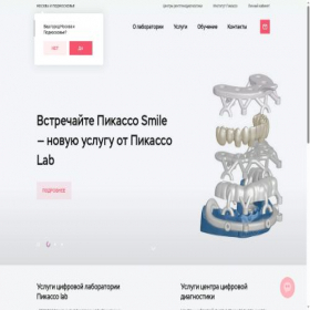 Скриншот главной страницы сайта scanpicasso.ru
