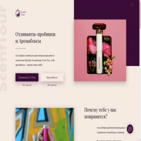Скриншот главной страницы сайта scenttour.ru