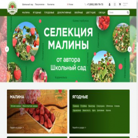 Скриншот главной страницы сайта schoolgarden.shop