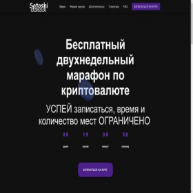 Скриншот главной страницы сайта schoolsatoshi.online