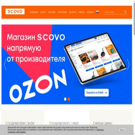 Скриншот главной страницы сайта scovo.ru