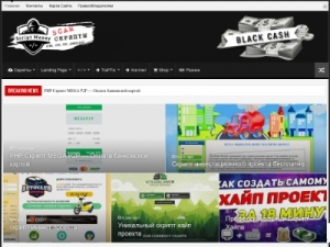 Скриншот главной страницы сайта script-money.ru
