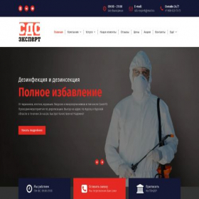 Скриншот главной страницы сайта sds-expert.ru
