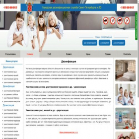 Скриншот главной страницы сайта sds.spb.ru