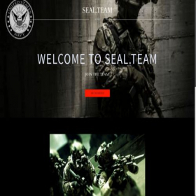 Скриншот главной страницы сайта seal.team