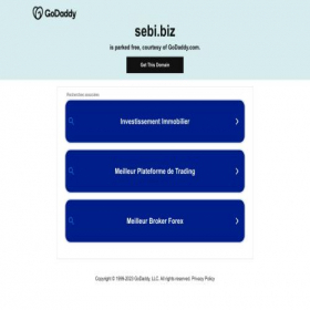 Скриншот главной страницы сайта sebi.biz