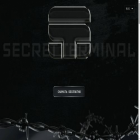 Скриншот главной страницы сайта secret-terminal.com