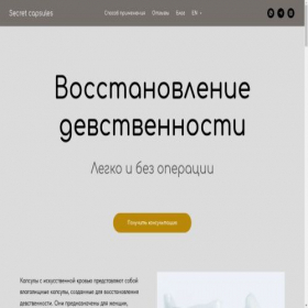 Скриншот главной страницы сайта secretsng.com