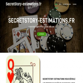 Скриншот главной страницы сайта secretstory-estimations.fr
