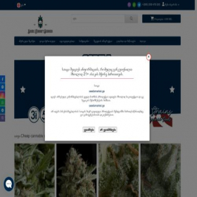 Скриншот главной страницы сайта seedsmarket.ge
